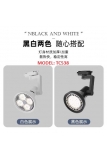 PAR30 LED TRACK LIGHT CASING (TC538 / TC0209)