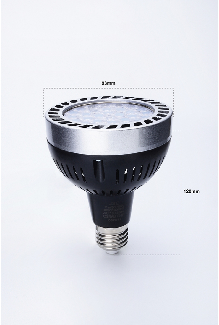 PAR30 45W E27 LED BULB