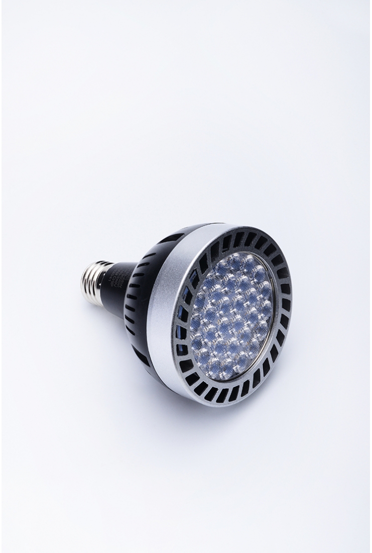 PAR30 45W E27 LED BULB